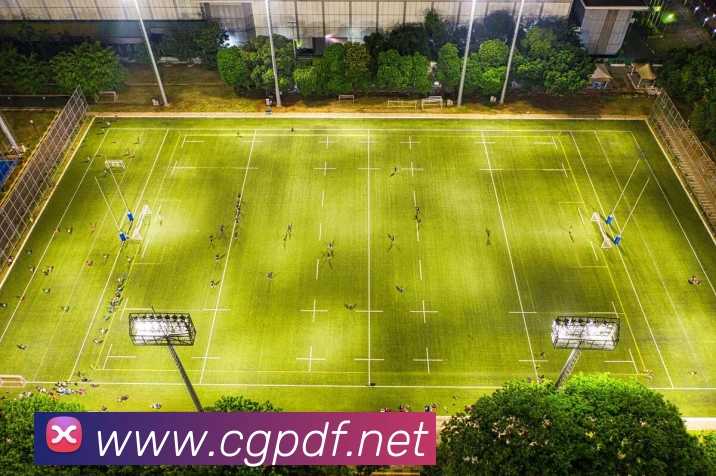 巅峰国际服务体系